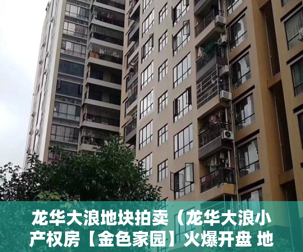 龙华大浪地块拍卖（龙华大浪小产权房【金色家园】火爆开盘 地铁6号线羊台山东站 周边物业 增值空间无限！）