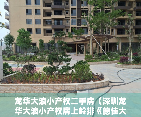 龙华大浪小产权二手房（深圳龙华大浪小产权房上岭排《德佳大厦》示范文明小区可落户带学区）