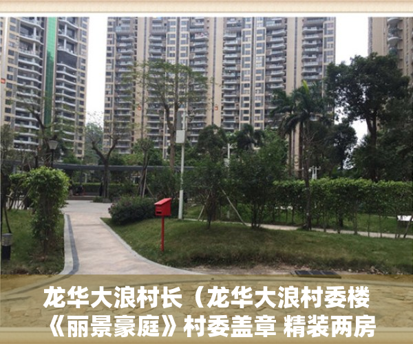 龙华大浪村长（龙华大浪村委楼《丽景豪庭》村委盖章 精装两房688万起）