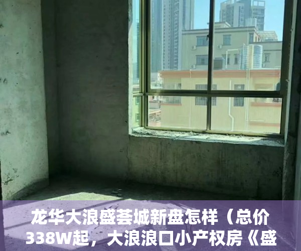 龙华大浪盛荟城新盘怎样（总价338W起，大浪浪口小产权房《盛荟华庭》原始户型马路第一排）