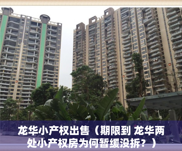 龙华小产权出售（期限到 龙华两处小产权房为何暂缓没拆？）
