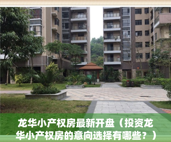 龙华小产权房最新开盘（投资龙华小产权房的意向选择有哪些？）(龙华小产权房多少钱一平)