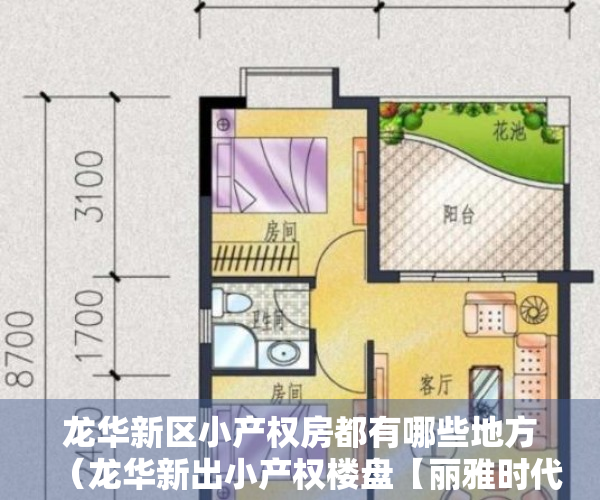 龙华新区小产权房都有哪些地方（龙华新出小产权楼盘【丽雅时代】一房总价239万起，可零首付，最长可分期十年）