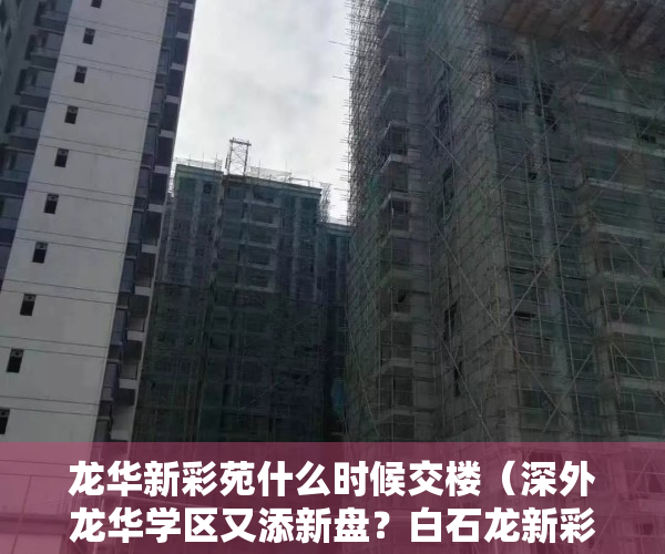 龙华新彩苑什么时候交楼（深外龙华学区又添新盘？白石龙新彩苑59万起备案）