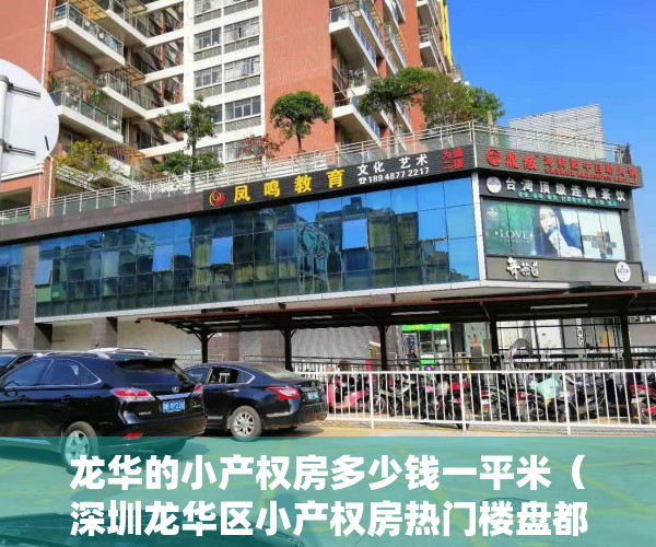 龙华的小产权房多少钱一平米（深圳龙华区小产权房热门楼盘都有哪些）