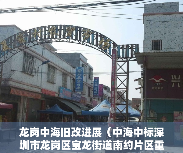 龙岗中海旧改进展（中海中标深圳市龙岗区宝龙街道南约片区重点更新单元前期服务商）