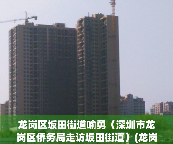 龙岗区坂田街道喻勇（深圳市龙岗区侨务局走访坂田街道）(龙岗街道办喻勇)