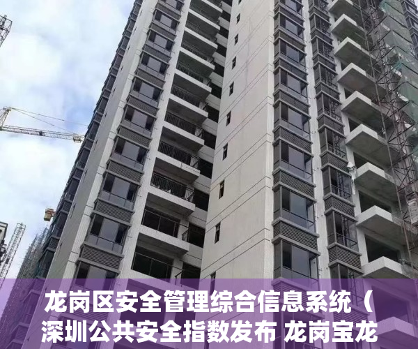 龙岗区安全管理综合信息系统（深圳公共安全指数发布 龙岗宝龙街道降幅最大）