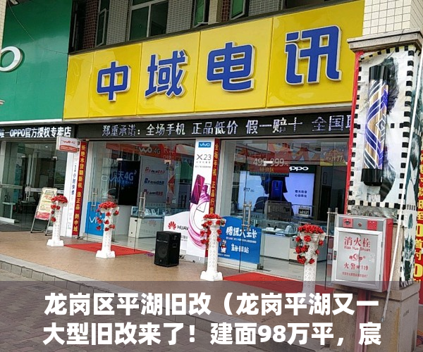 龙岗区平湖旧改（龙岗平湖又一大型旧改来了！建面98万平，宸嘉地产主导）