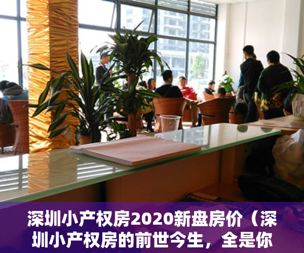 深圳小产权房2020新盘房价（深圳小产权房的前世今生，全是你想知道的故事）