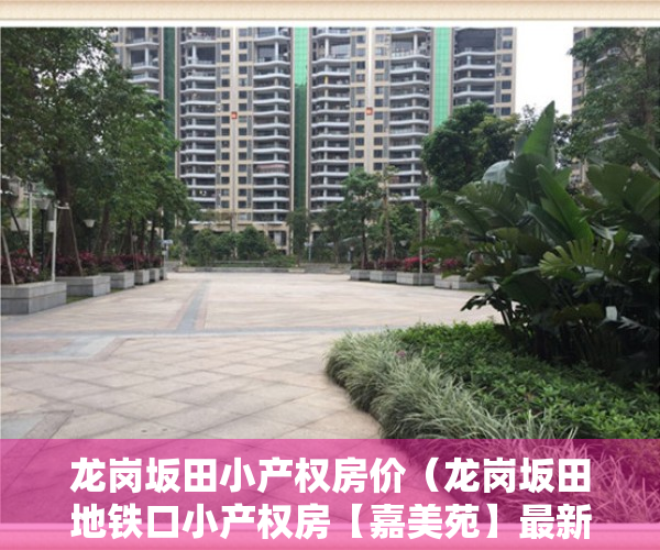 龙岗坂田小产权房价（龙岗坂田地铁口小产权房【嘉美苑】最新开盘出售 户户精装）