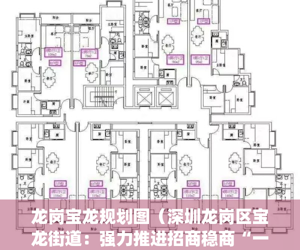 龙岗宝龙规划图（深圳龙岗区宝龙街道：强力推进招商稳商“一号工程”）(深圳龙岗宝龙片区规划)