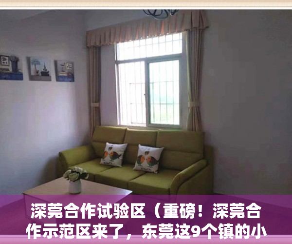 深莞合作试验区（重磅！深莞合作示范区来了，东莞这9个镇的小产权房即将大爆发）