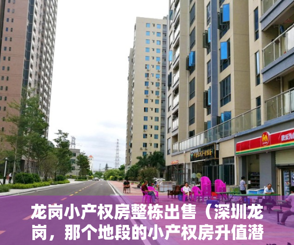 龙岗小产权房整栋出售（深圳龙岗，那个地段的小产权房升值潜力最大？最有保障？）