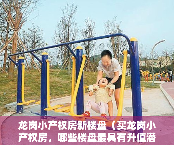 龙岗小产权房新楼盘（买龙岗小产权房，哪些楼盘最具有升值潜力又安全呢？ 深度解析！）