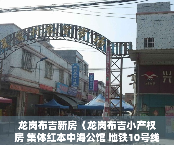 龙岗布吉新房（龙岗布吉小产权房 集体红本中海公馆 地铁10号线）