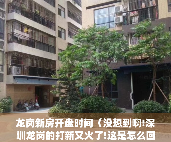 龙岗新房开盘时间（没想到啊!深圳龙岗的打新又火了!这是怎么回事）(深圳 龙岗 新盘)