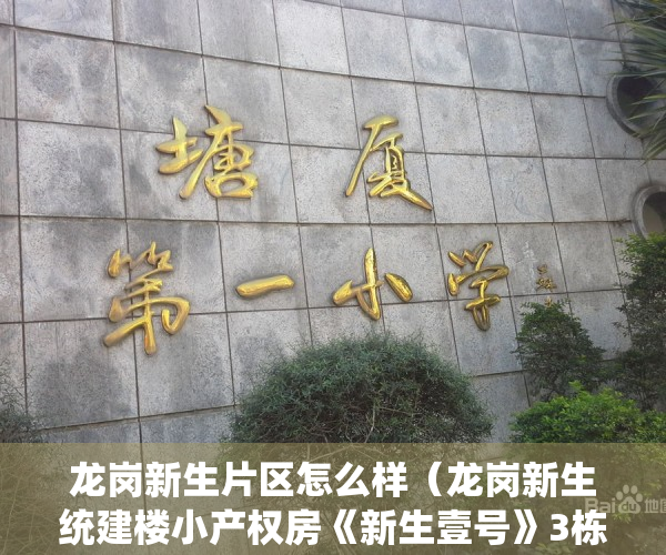 龙岗新生片区怎么样（龙岗新生统建楼小产权房《新生壹号》3栋花园小区）