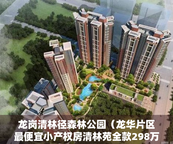 龙岗清林径森林公园（龙华片区最便宜小产权房清林苑全款298万做深圳房东）