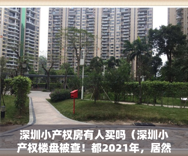 深圳小产权房有人买吗（深圳小产权楼盘被查！都2021年，居然还有人买小产权房子？）