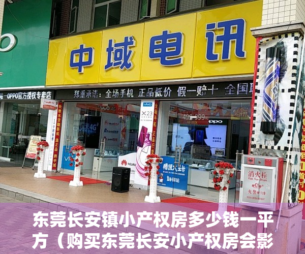东莞长安镇小产权房多少钱一平方（购买东莞长安小产权房会影响购房者的利益吗？）
