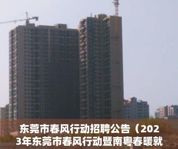 东莞市春风行动招聘公告（2023年东莞市春风行动暨南粤春暖就业服务活动启动仪式在虎门召开）