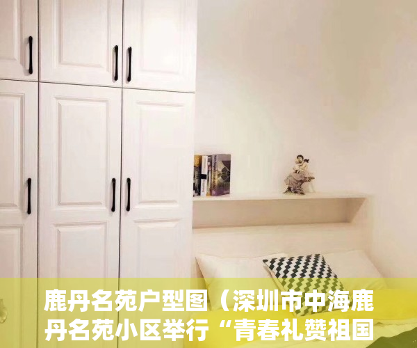 鹿丹名苑户型图（深圳市中海鹿丹名苑小区举行“青春礼赞祖国，传承红色记忆——喜迎建党百年邻里文化节” 活动）