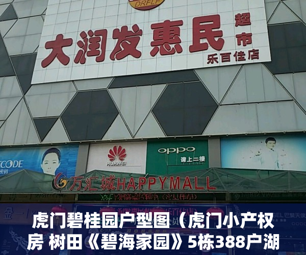 虎门碧桂园户型图（虎门小产权房 树田《碧海家园》5栋388户湖景房 均价3880元起）