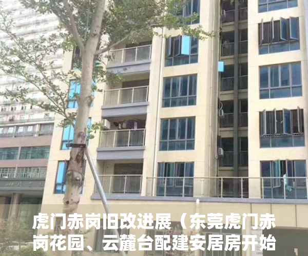 虎门赤岗旧改进展（东莞虎门赤岗花园、云麓台配建安居房开始定向配售）