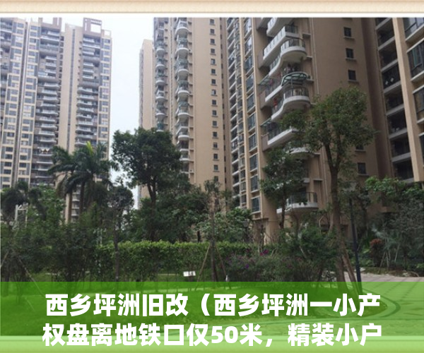西乡坪洲旧改（西乡坪洲一小产权盘离地铁口仅50米，精装小户型，投资客可以看过来！）