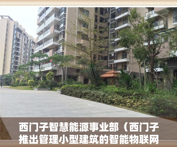 西门子智慧能源事业部（西门子推出管理小型建筑的智能物联网解决方案Connect Box）