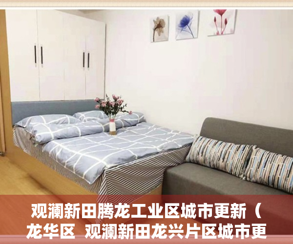 观澜新田腾龙工业区城市更新（龙华区  观澜新田龙兴片区城市更新启动物业权利人确权工作招商蛇口集团旧改）