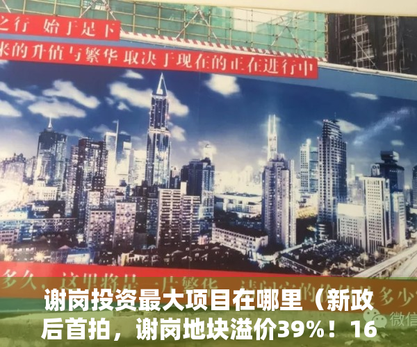 谢岗投资最大项目在哪里（新政后首拍，谢岗地块溢价39%！167亿，招商的！）