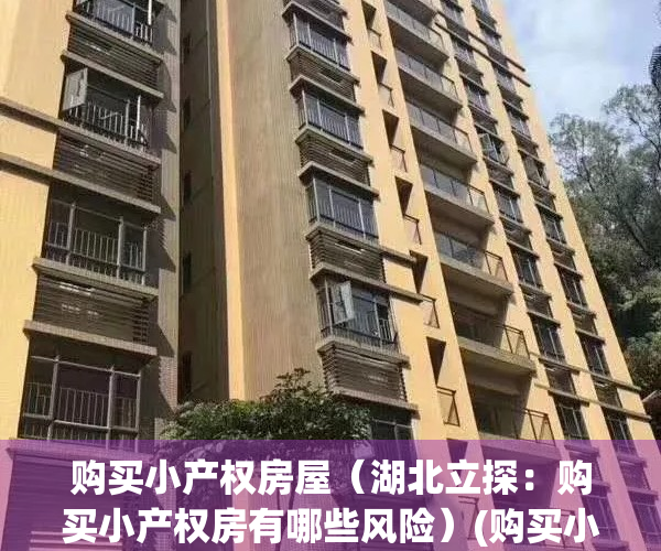购买小产权房屋（湖北立探：购买小产权房有哪些风险）(购买小产权房有风险吗?)
