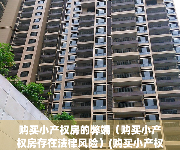 购买小产权房的弊端（购买小产权房存在法律风险）(购买小产权房受法律保护吗)