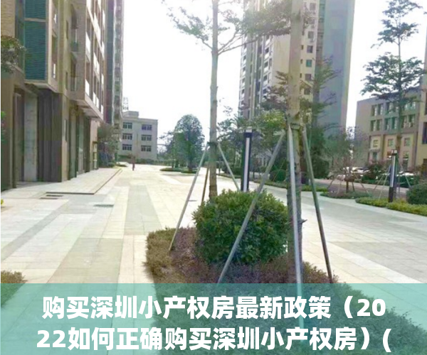 购买深圳小产权房最新政策（2022如何正确购买深圳小产权房）(深圳购买小产权房需要什么条件)