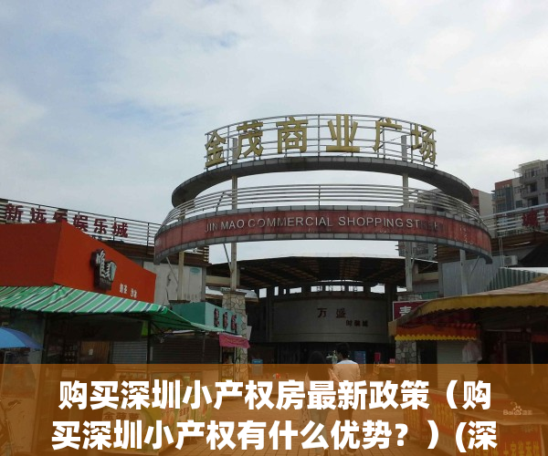 购买深圳小产权房最新政策（购买深圳小产权有什么优势？）(深圳购买小产权房需要什么条件)