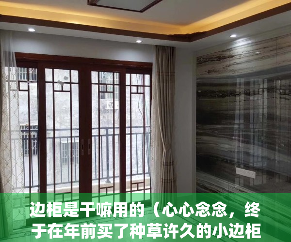边柜是干嘛用的（心心念念，终于在年前买了种草许久的小边柜！）(边柜简单又漂亮)