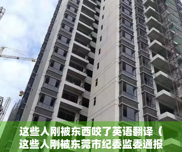 这些人刚被东西咬了英语翻译（这些人刚被东莞市纪委监委通报，都是因为违法用地违法建设问题！）