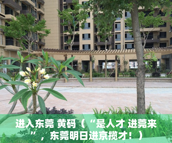 进入东莞 黄码（“是人才 进莞来”，东莞明日进京揽才！）