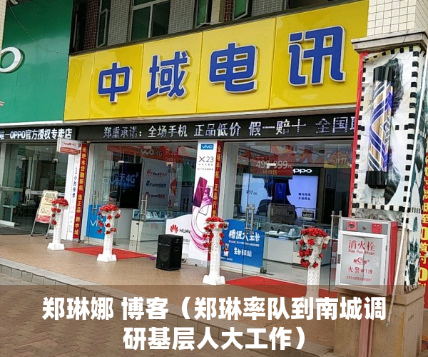 郑琳娜 博客（郑琳率队到南城调研基层人大工作）