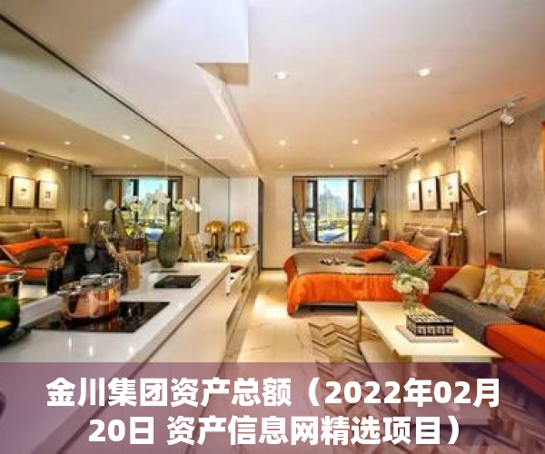 金川集团资产总额（2022年02月20日 资产信息网精选项目）