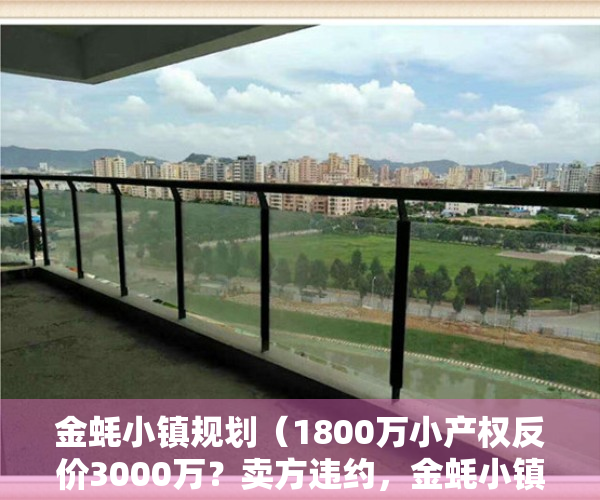 金蚝小镇规划（1800万小产权反价3000万？卖方违约，金蚝小镇发风险提示）