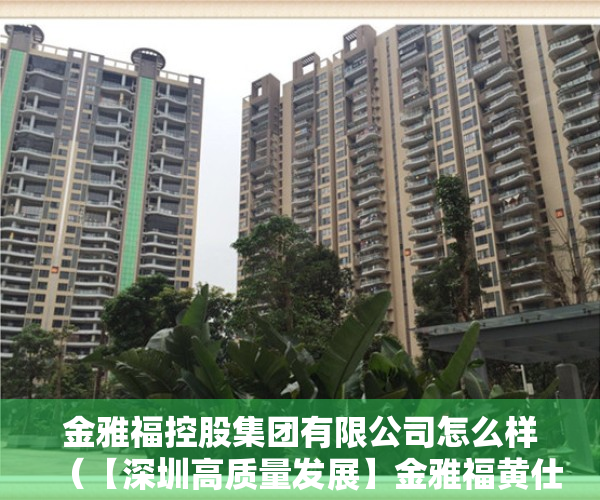 金雅福控股集团有限公司怎么样（【深圳高质量发展】金雅福黄仕坤：“走有自身特色的产业之路”）