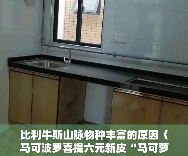 比利牛斯山脉物种丰富的原因（马可波罗喜提六元新皮“马可萝卜”，值得投资吗？）