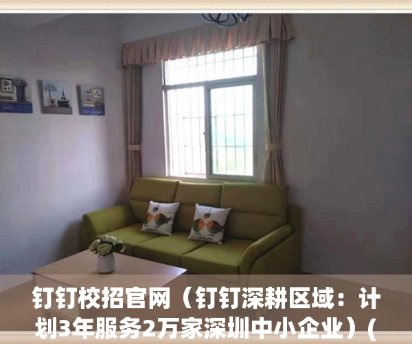 钉钉校招官网（钉钉深耕区域：计划3年服务2万家深圳中小企业）(钉钉新校招)