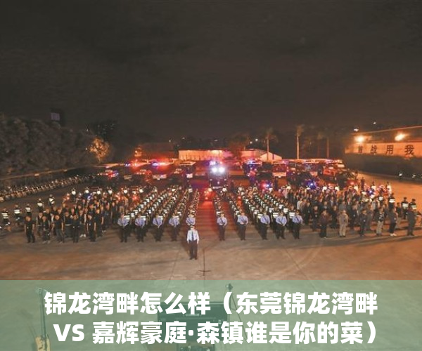 锦龙湾畔怎么样（东莞锦龙湾畔 VS 嘉辉豪庭·森镇谁是你的菜）
