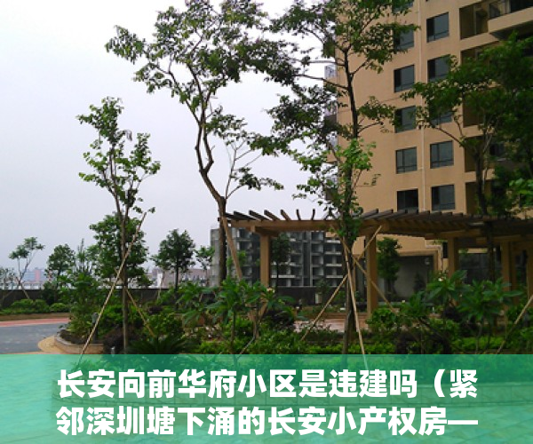 长安向前华府小区是违建吗（紧邻深圳塘下涌的长安小产权房——向前华府）