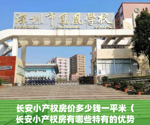 长安小产权房价多少钱一平米（长安小产权房有哪些特有的优势？）(长安小产权房多少钱一平方)
