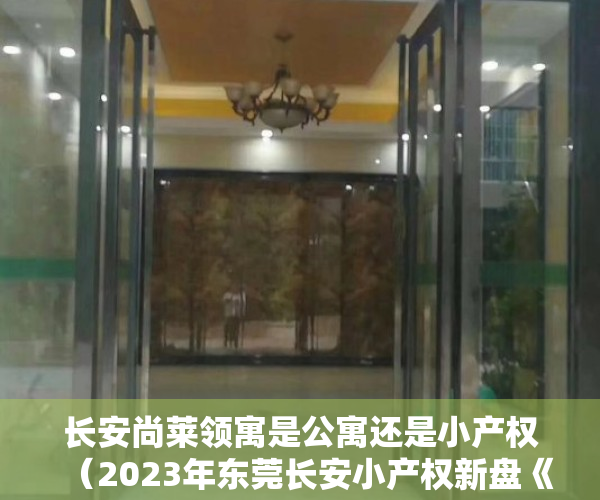 长安尚莱领寓是公寓还是小产权（2023年东莞长安小产权新盘《尚莱领寓》现楼交付，刚需居家、投资！能贷款的小产权房近地铁的小产权集资房地铁口 没有社保怎么买房？）